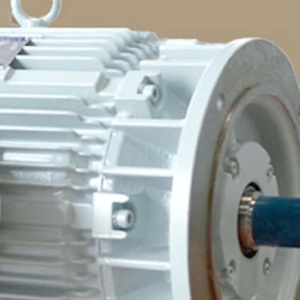 Explosion-proof Motor (LV)