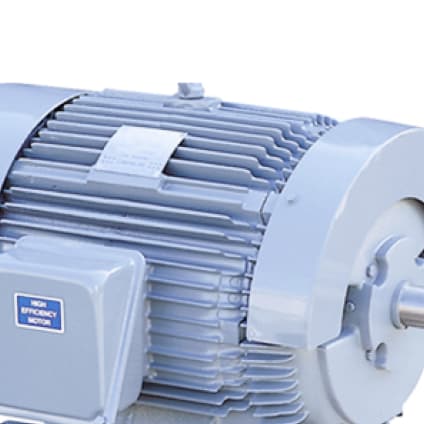 NEMA Standard Motor (LV)